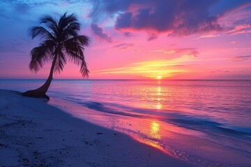 Palm Tree on Tropical Beach: Silhouetted against a colorful sunset backdrop.