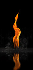A striking image of a gracefully curving flame with a reflective surface below, set against a deep black background.