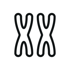 XX chromosomes isolated icon, female chromosome vector symbol with editable stroke