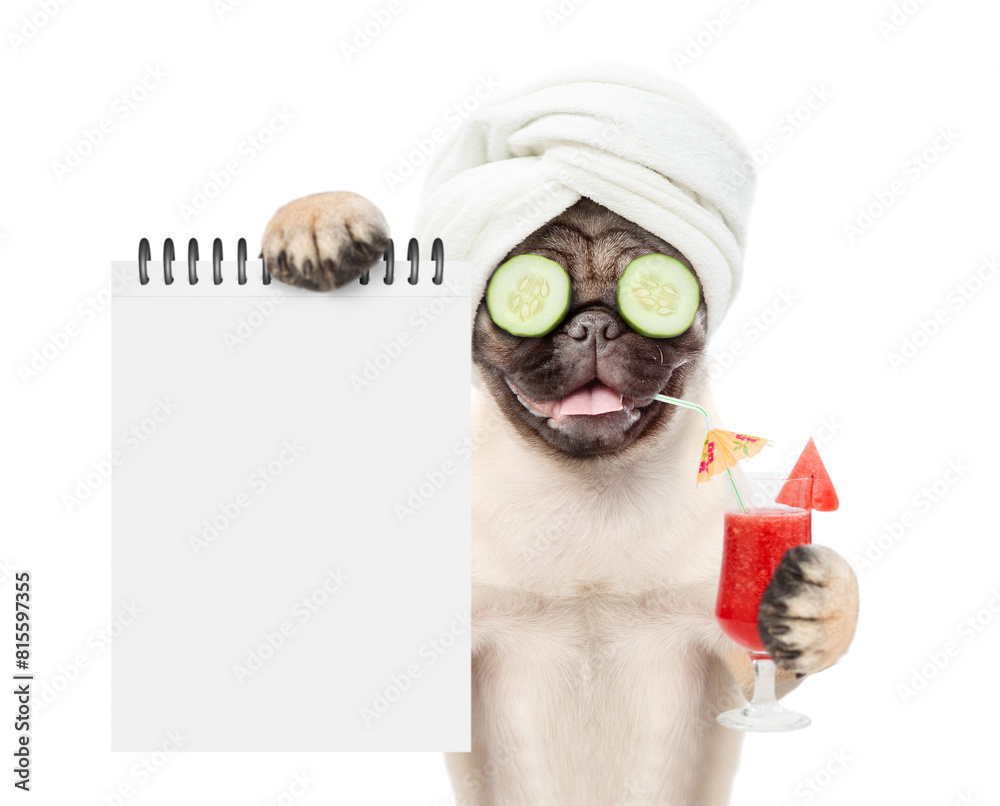 Poster funny mastiff puppy with towel on it head and with pieces of cucumber on it eyes holds watermelon co