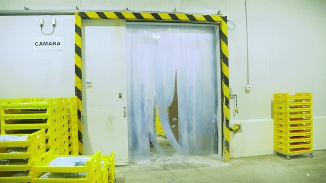 personnel pushing pallet with boxes to store them inside the storage cold chamber, export process 60fps
