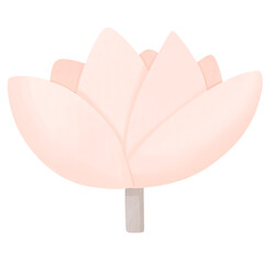 a pink lotus flower on a transparent background