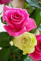 緑とピンクのばら