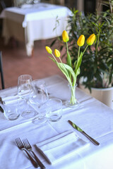 Sophisticated dining setup featuring crisp linens, glassware, and fresh tulips