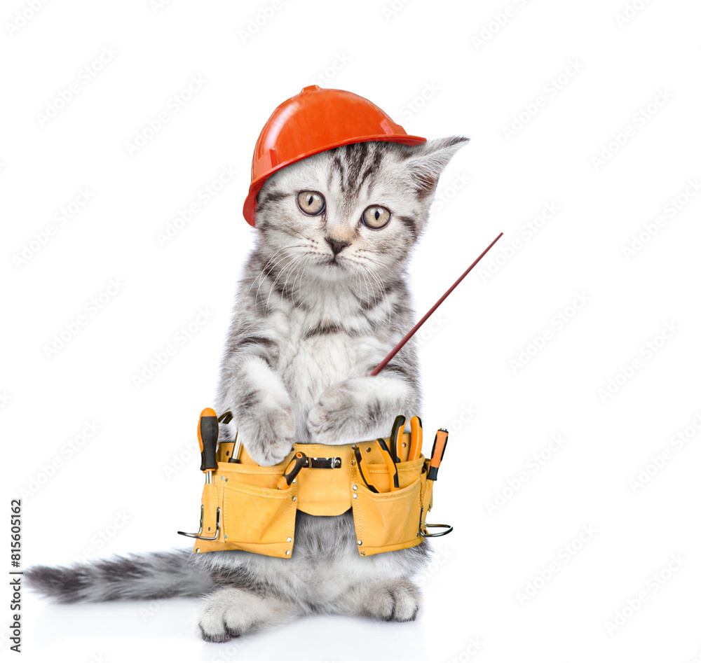 Aufkleber funny cat worker wearing hardhat and toolbelt standing on hind legs and pointing away on empty space