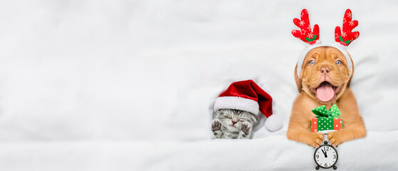 Happy mastiff puppy dressed like santa claus reindeer  Rudolf holding gift box and shows alarm...