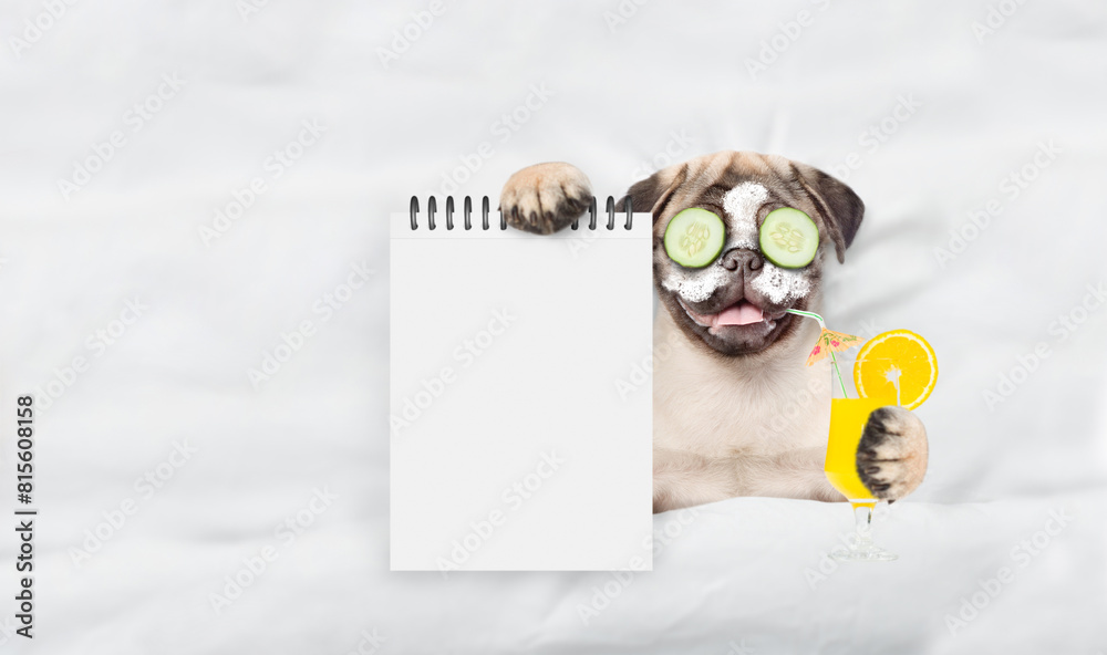 Poster funny pug puppy with cream on his face and a piece of cucumber on his eyes holds watermelon cocktail