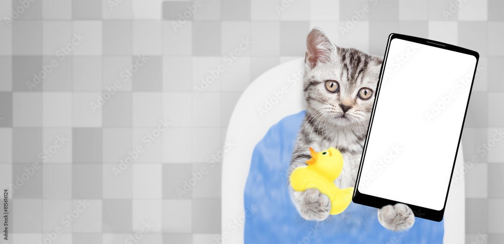 Aufkleber cute kitten takes the bath at home and shows big smartphone with white blank screen in it paw. top d