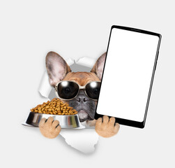 French bulldog puppy wearing sunglasses looks through a hole in white paper, holds full bowl of dry...