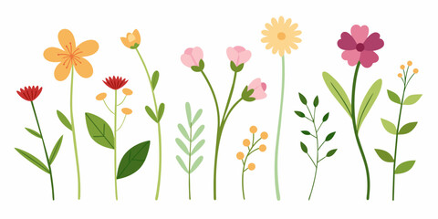 Set Of Botanical Design Elements Including Various Flowers And Leaves, Flowers Vector Illustration