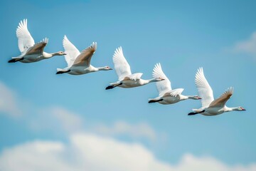 Flight Background. Migrating Birds Flying in Formation Against Blue Sky
