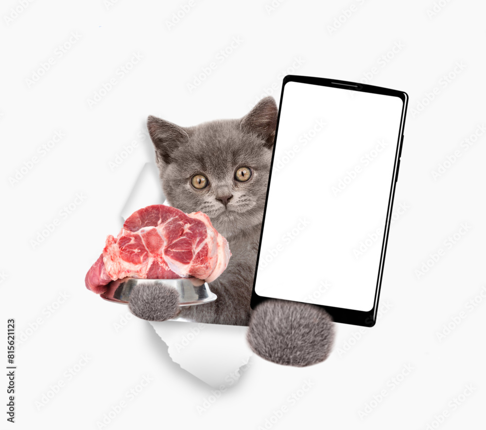 Poster kitten looks through a hole in white paper, holds bowl with raw meat and shows smartphone with white
