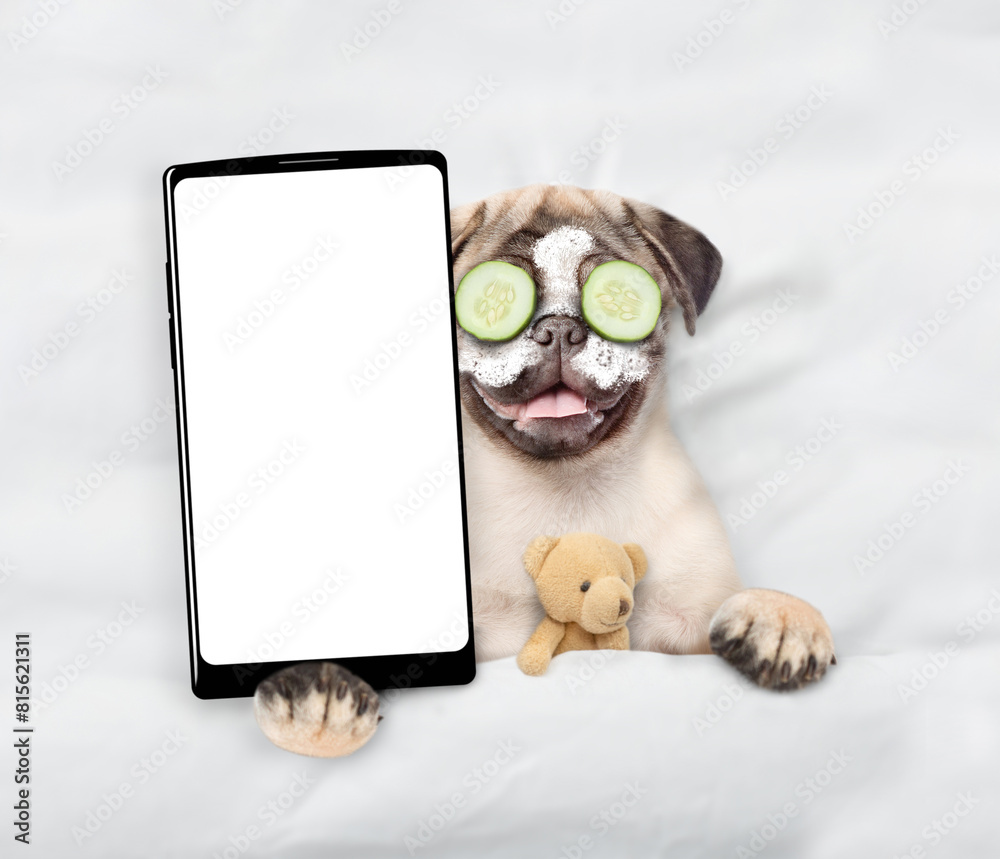 Poster funny pug puppy with cream on his face, with a piece of cucumber on his eyes relaxing on the bed at 