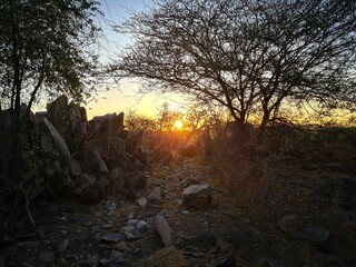 the sun is setting behind a lone tree near some rocks