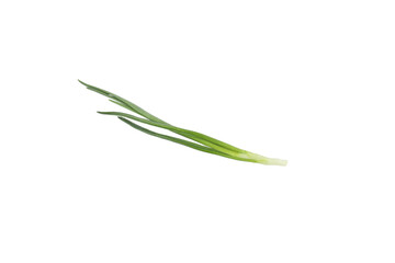 PNG, Green onion, isolated on white background