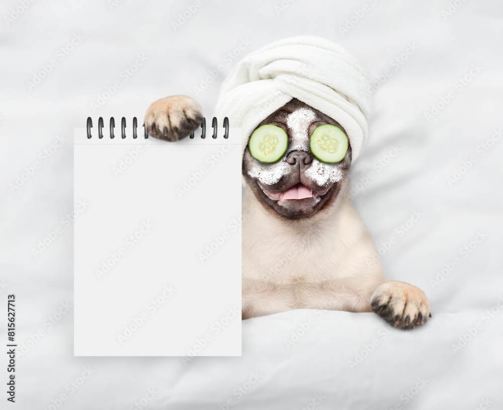 Leinwandbilder funny pug puppy with towel on it head and with a piece of cucumber on it eyes relaxing on the bed at