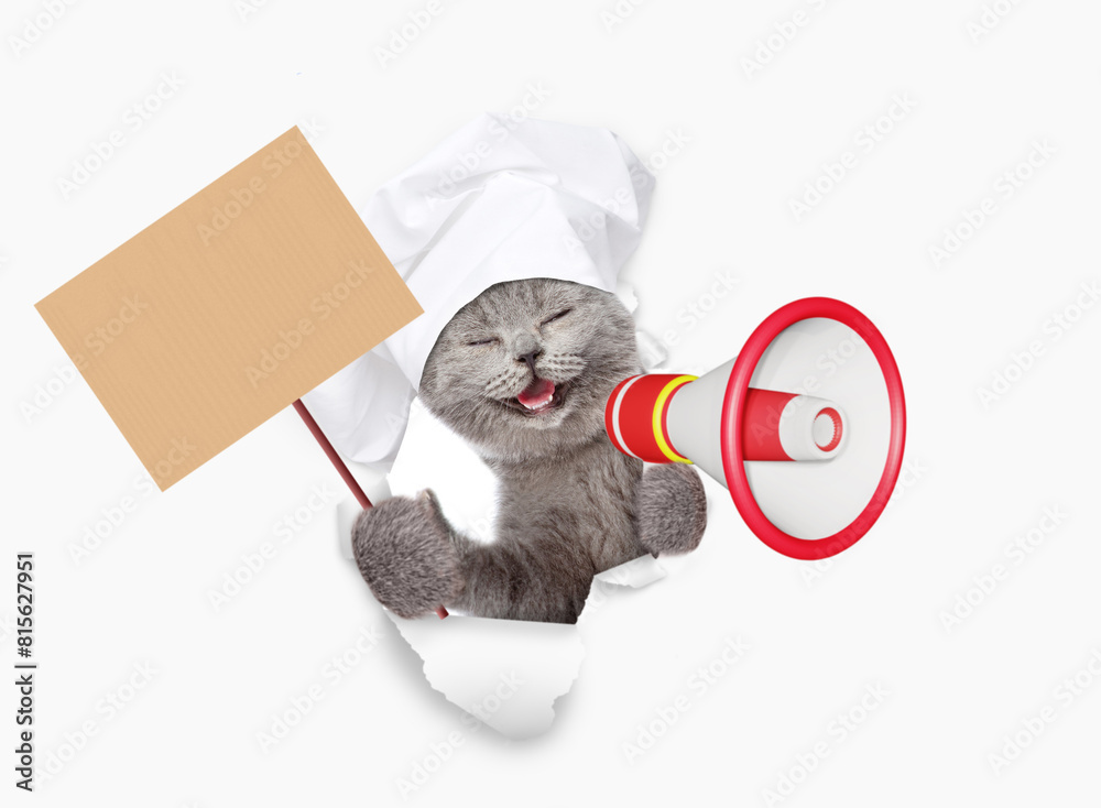 Poster laughing cat wearing chef's hat looking through the hole in white paper meowing into the megaphone a