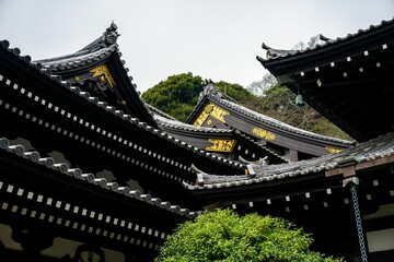Fototapeta premium Hasadera Buddhist Temple in Kamakura Japan surrounded by lush greenery