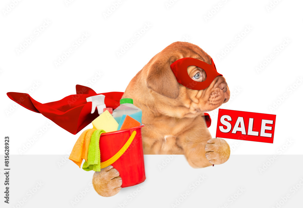 Poster funny mastiff puppy wearing superhero costume holds bucket with washing fluids and showing signboard