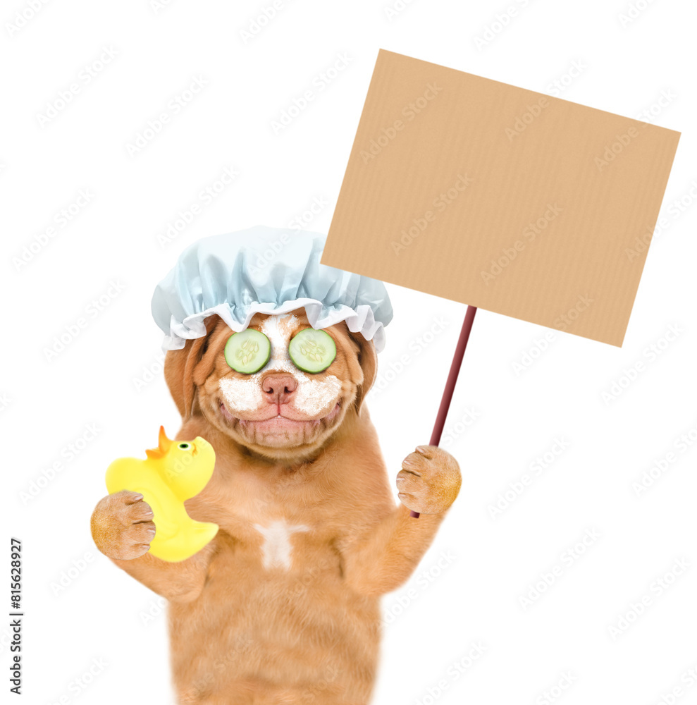 Aufkleber Smiling Mastiff puppy with shower cap on it head, with cream on it face shows empty placard and holds rubber duck. isolated on white background