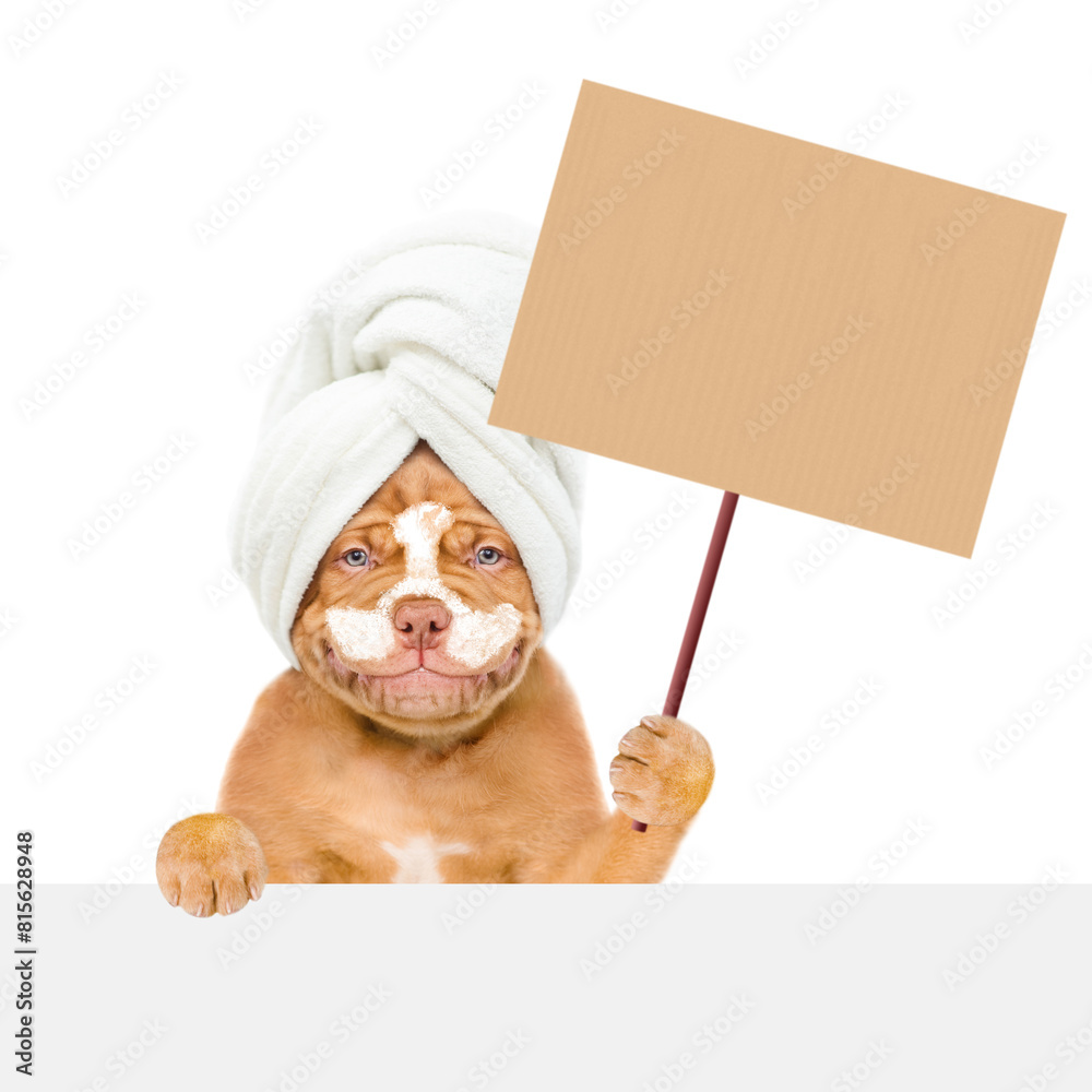 Poster happy mastiff puppy with towel on it head, with cream on it face holds empty placard above empty whi