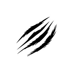 Wild animal claws scratch