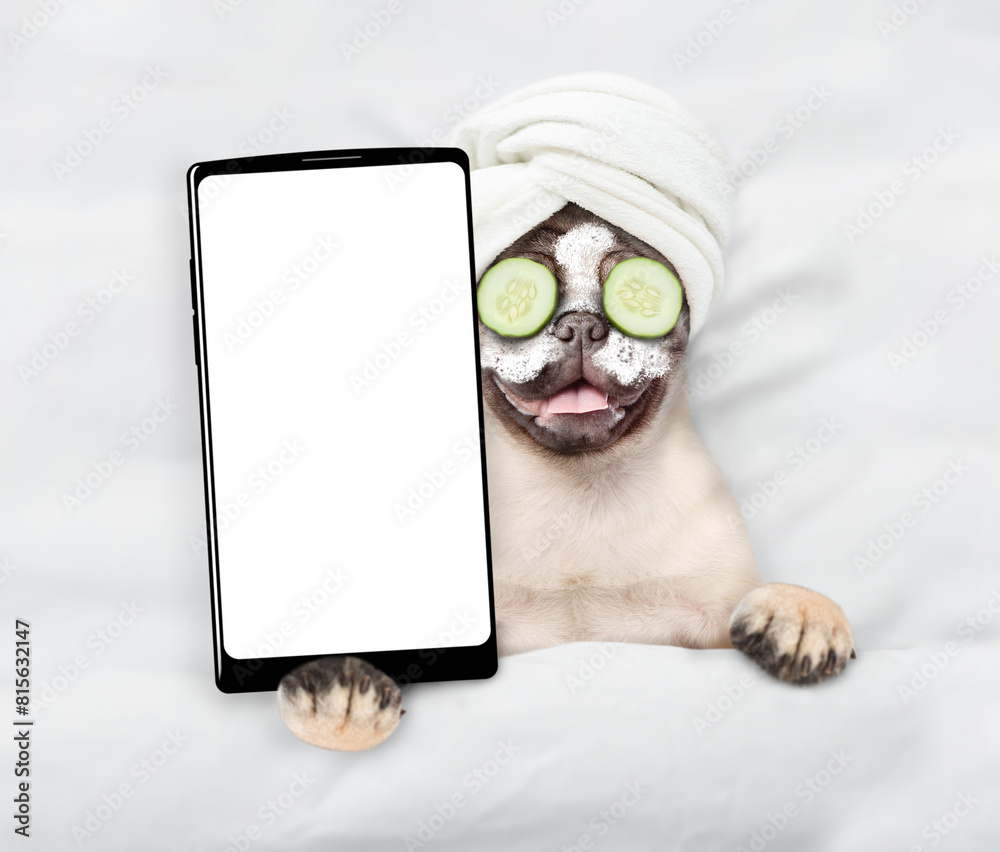 Aufkleber funny pug puppy with towel on his head, with cream on his face, with a piece of cucumber on his eyes