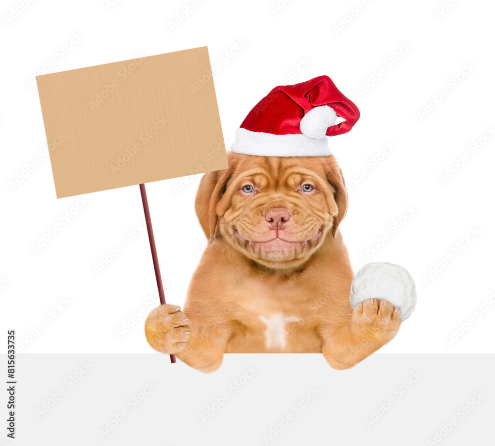 Poster smiling mastiff puppy wearing red santa hat holds snowball above empty white banner and shows empty 