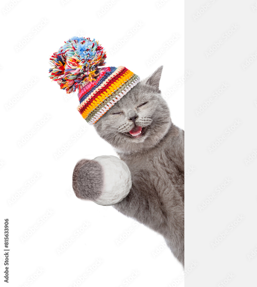 Poster happy cat wearing warm winter knitted woolen hat with pompon holds snowball and looks from behind em