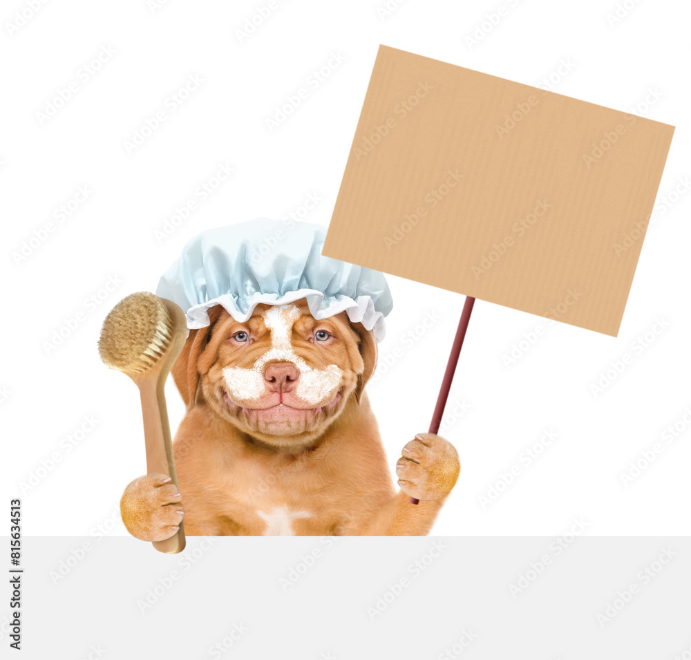 Poster happy mastiff puppy wearing shower cap with cream on it face holds empty placard above empty white b