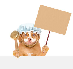 Happy Mastiff puppy wearing shower cap with cream on it face holds empty placard above empty white banner. isolated on white background