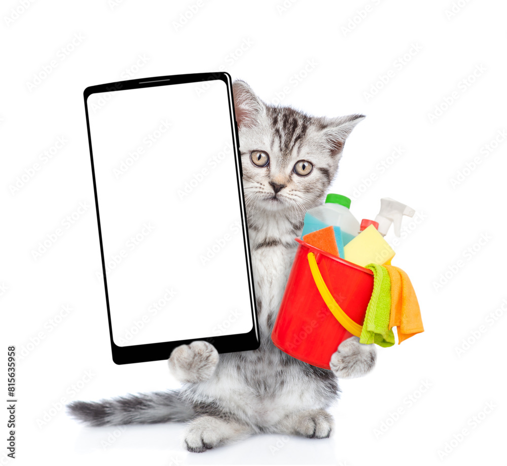 Poster cleaning concept. cute kitten holds bucket with washing fluids and shows big smartphone with white b