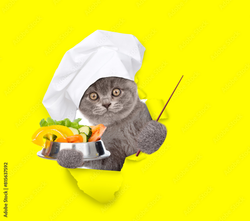 Poster cat wearing chef's hat looking through the hole in yellow paper, holding bowl of vegetables and poin