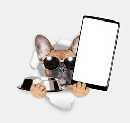 French bulldog puppy wearing sunglasses looks through a hole in white paper, holds empty bowl and ...