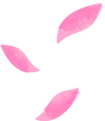 Pink petals in watercolor style