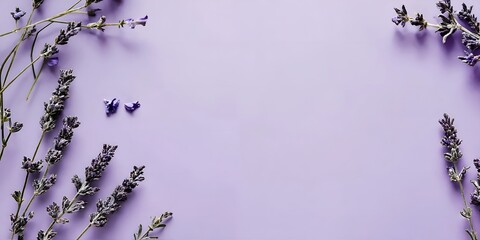 plain pastel purple background with lavender in the corners lavender desktop wallpaper purple banner minimalist flowers  