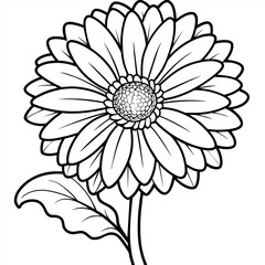 Gerbera Daisy flower outline illustration coloring book page design, Gerbera Daisy flower black and white line art drawing coloring book pages for children and adults
