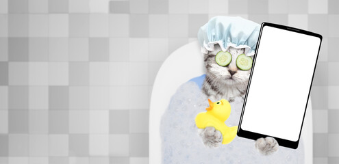 Cute kitten wearing shower cap, with cream and slice of cucumbers on it face takes the bath with...