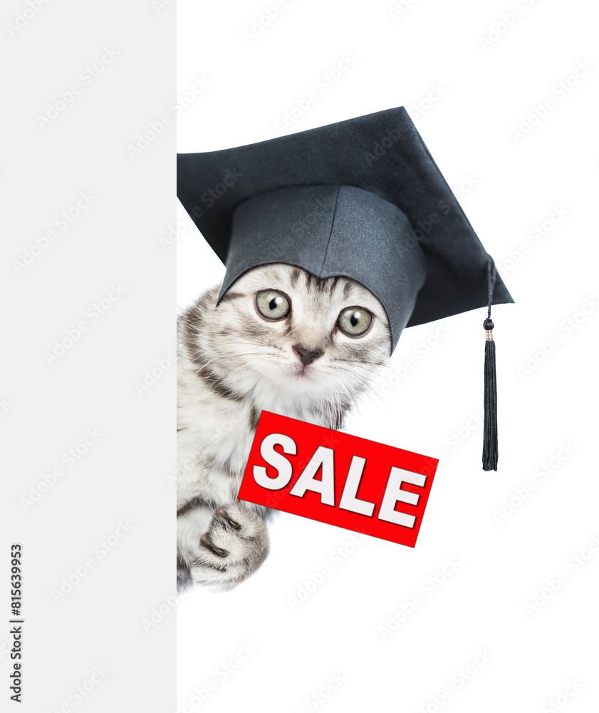 Poster cute graduated cat looks from behind empty white banner and holds signboard with labeled 