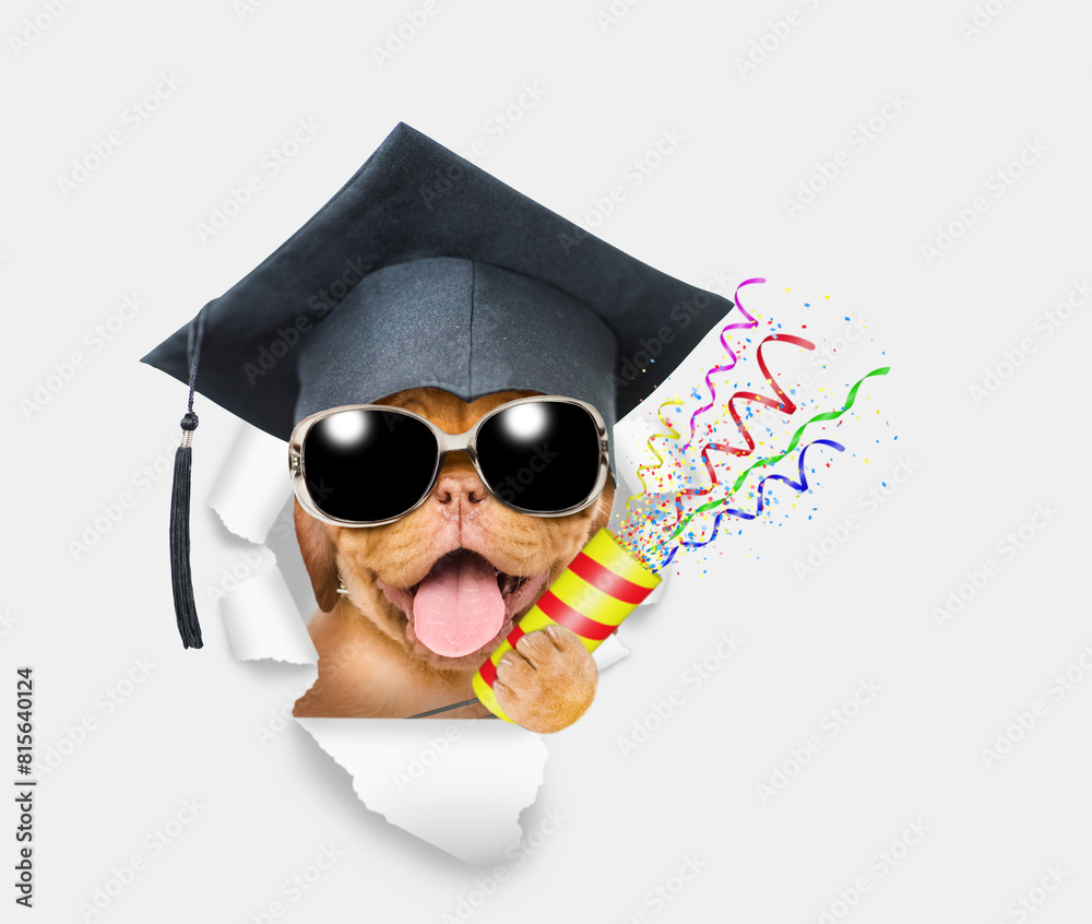 Aufkleber сollege graduate dog explodes a firecracker through the hole in white paper