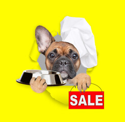 Funny French bulldog puppy wearing chef's hat looking through the hole in yellow paper and holding empty bowl