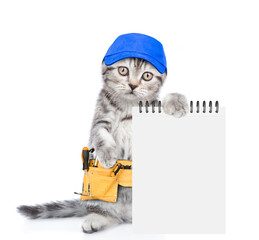 Funny cat wearing blue cap and toolbelt holds notepad.  Isolated on white background
