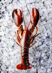 Fresh lobster shellfish are available in the seafood restaurant for cooked dishes, while raw lobster is displayed on ice atop a black stone table in a top-down view.