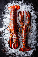 Fresh lobsters on ice on a black stone background. top view. Food seafood Background.