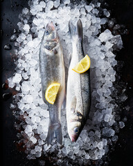Fresh raw sea bass with lemon slices on ice. Top view, dark background. Raw whole sea fish.