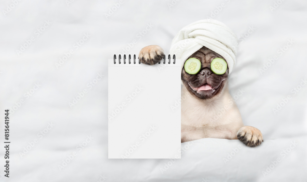 Leinwandbilder Funny Pug puppy with towel on it head and with a piece of cucumber on it eyes relaxing on the bed at home and showing empty list. Top down view. Empty space for text