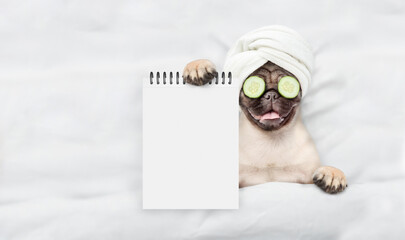 Funny Pug puppy with towel on it head and with a piece of cucumber on it eyes relaxing on the bed at home and showing empty list. Top down view. Empty space for text