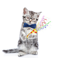 Tabby cute kitten wearing eyeglasses and tie bow holds exploding firecracker. Isolated on blue background