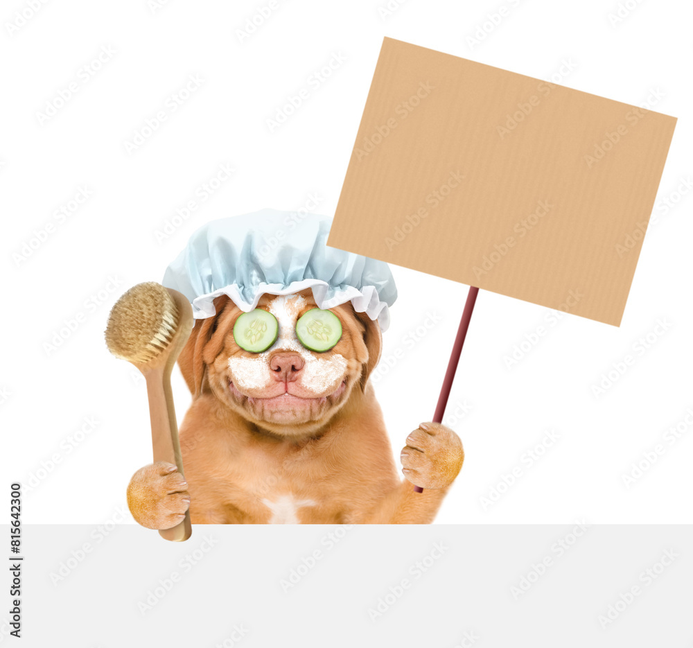 Poster Mastiff puppy with shower cap on it head with pieces of cucumber on it eyes and with cream on it face holding blank banner mock up on wood stick above empty white banner. isolated on white background