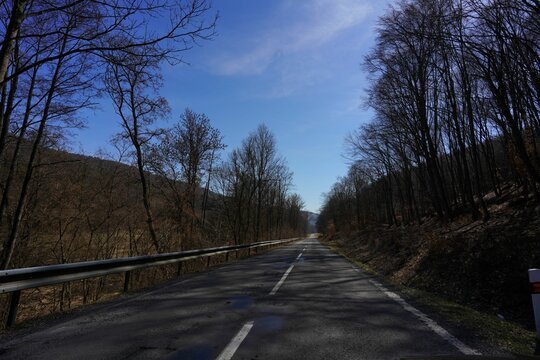 A straight country road passing through the woods with blue sky.